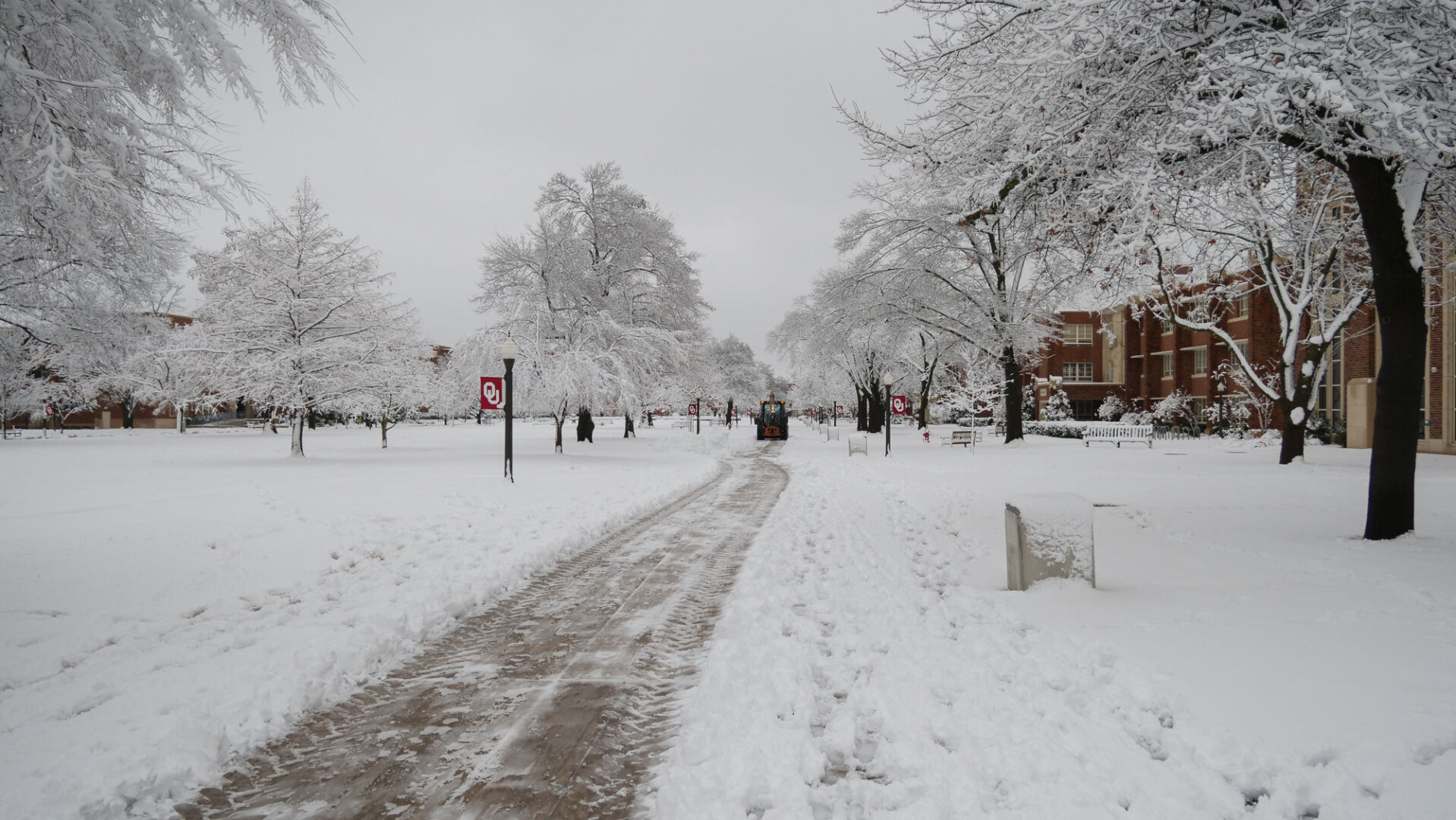 Snow Plower on the South Oval